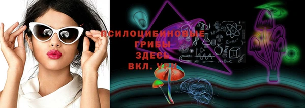 индика Армянск