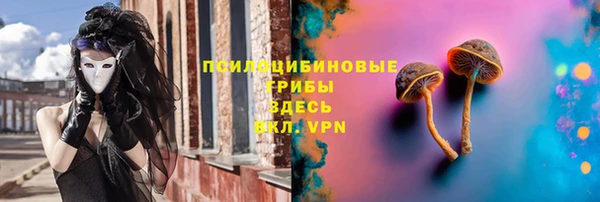 спайс Арсеньев