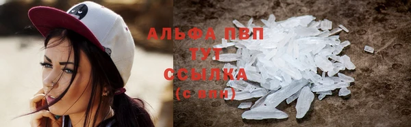 спайс Арсеньев