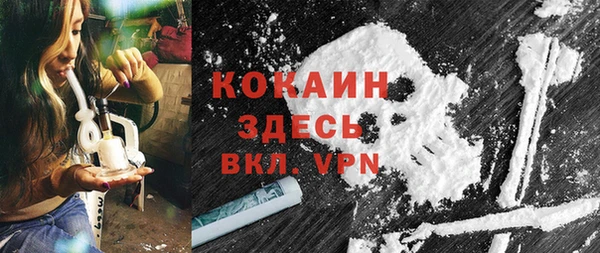 спайс Арсеньев