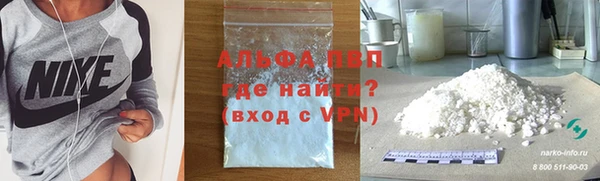 индика Армянск