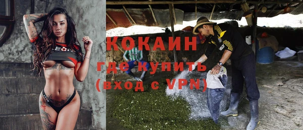 спайс Арсеньев